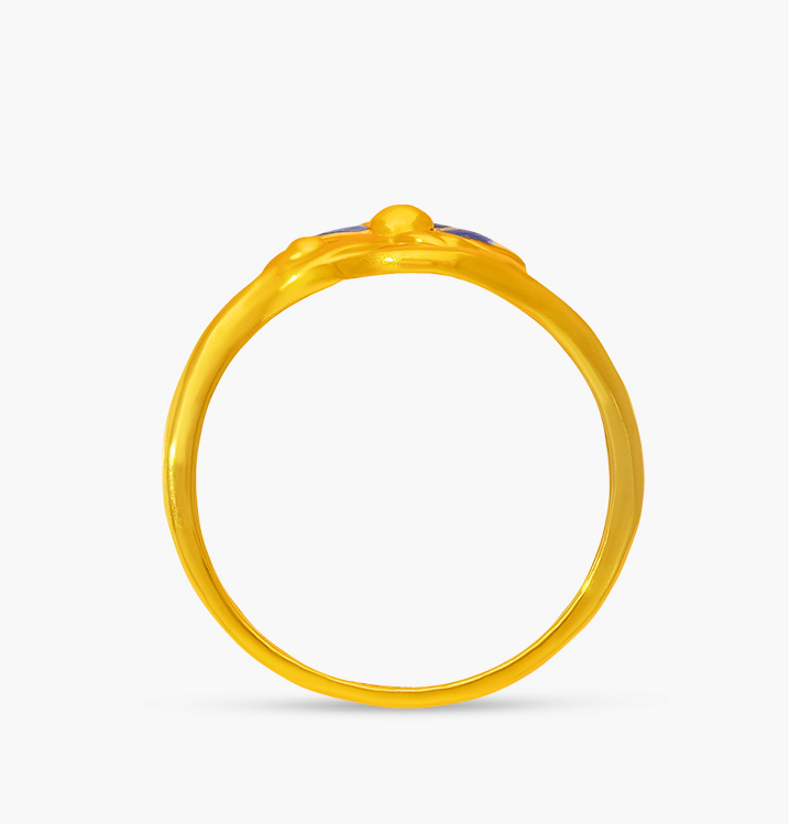The Fancy Fame Ring